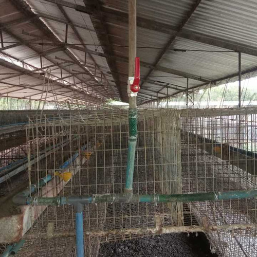 Imagen 12 de 17 de Finca De 12 Hectareas De Gallinas Ponedoras En Villa De Cura