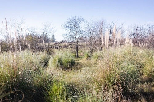 Campo En Venta En Pilar. Zona Champagnat
