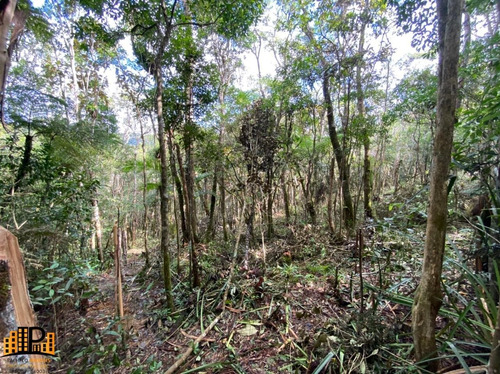 Imagem 11 de 18 de Chácara À Venda 2.749,43m2 Estrada Da Barrinha - São Lourenço/sp - Ch07782 - 69485090