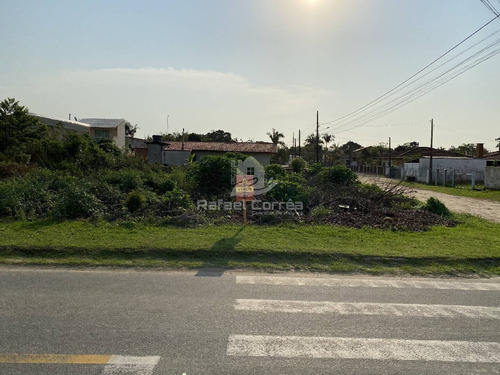 Imagem 6 de 13 de Terreno | Pinheiros | Bal. Barra Do Sul - 077