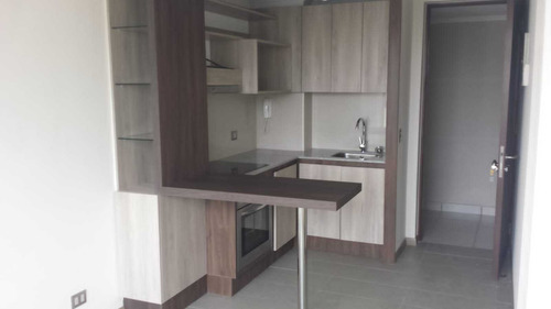 Lindo Departamento (85317)