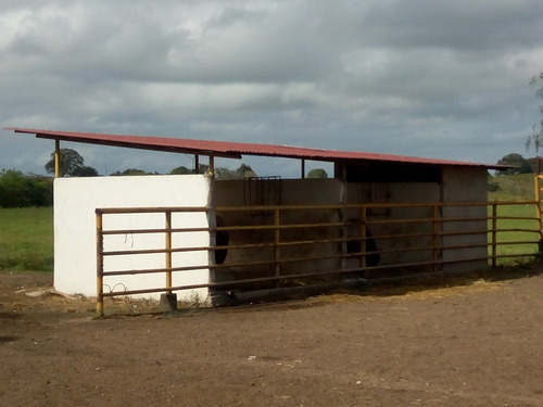 Imagen 4 de 27 de Se Vende Finca En Caicara De Maturin Sec Bajo Gde Ve02-1143cai-mtru