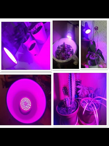 Lampara Luz Led Crecimiento Indoor Cultivo Interior 