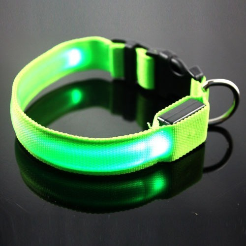 Collar Para Mascota Recargable Con Luz Led, Varios Colores