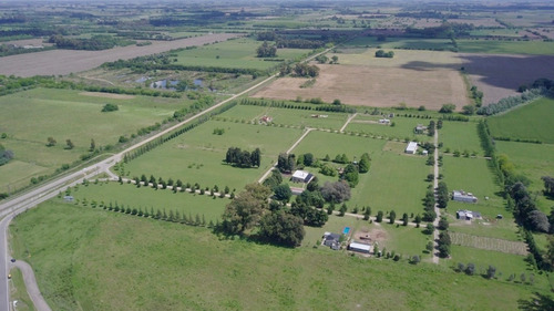 Imagen 10 de 12 de Lote Quinta De 1200 M2 Chacras Don Jose