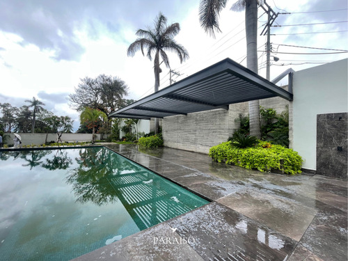 Lotes Premium | Jacarandas