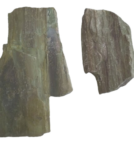 Corteza De Arbol Petrificado En Piedra Antigüedad 12mil Años