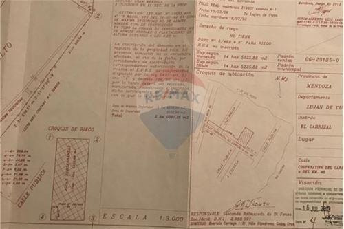 Imagen 8 de 11 de Venta Finca 14 Htas- Carrizal - Permuta X Lote