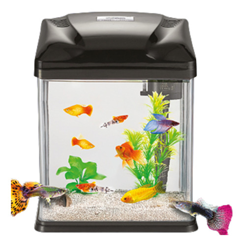 Kit Nano Acuario Con Luz Led 10 Lt Pecera Lomas