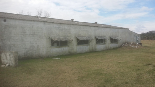 Imagen 8 de 12 de Tremendas Ofertas, Se Venden Dos Enormes Galpones 550 M2 Y En Otro Padrón Una Casa Campo De 93 M2. En Zona Muy Tranquila A Solo 30 Minutos De Montevidieo