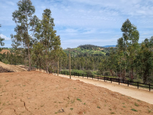 Vendo Parcelas A 20 Kms. Aproximadamente De Peralillo