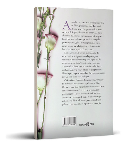 Orações Poderosas Para Mães Ocupadas: 50 Mensagens Inspiradoras Para Todos Os Tipos De Problema, De Mary Carver. Editorial Novo Ceu, Tapa Dura, Edición 1 En Português, 2024