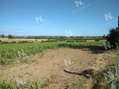 Imagen 12 de 14 de Ruta 104 Zona Ideal Para Vivir Todo El Año - San Carlos Quinta De Medina
