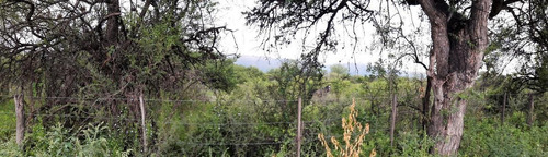 Imagen 4 de 8 de Terreno - Los Molles