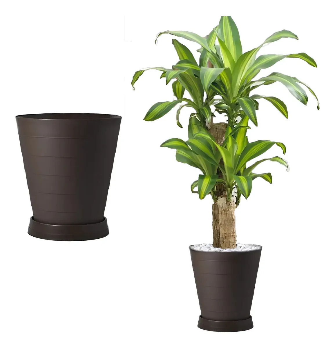 2 Macetas Grande Moderna Minimalista Interior Exterior Plato Color Café