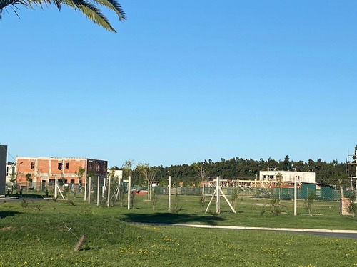 Imagen 6 de 14 de Carpinchos, Al Lado De Barbarita Y Santa Barbara