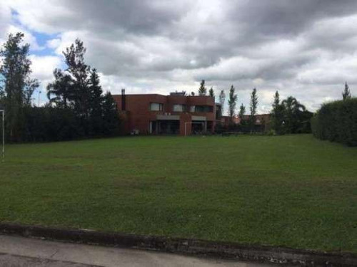 Imagen 4 de 7 de Lote | Yerba Buena