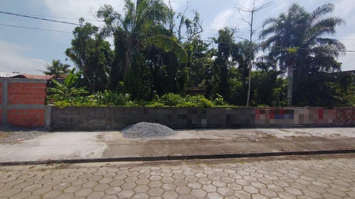 Imagem 3 de 6 de Terreno Medindo 255 M², Lado Praia Em Itanhaém-sp | Ter077