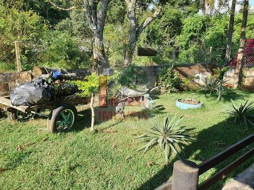Imagem 14 de 15 de Chacara - Ref: 3101 - V-3101