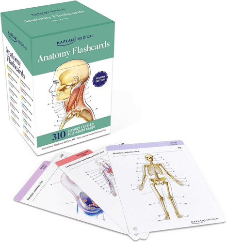 Tarjetas Anatomía: 300 Tarjetas Con Dibujos Anatómicamente Y