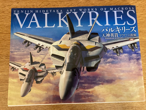 Tenjin Hidetaka Obras De Arte De Macross Valkyries (primero)