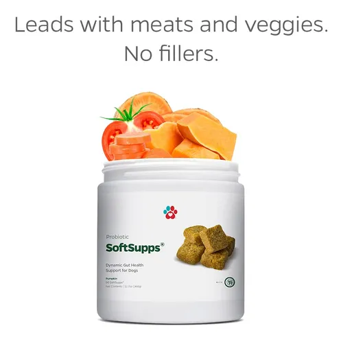 Suplementos Probioticos Para Perros Con Calabaza Y Antidiarr