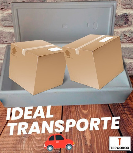Imagen 3 de 6 de Cajas Termicas Conservadoras Tergopol Usadas