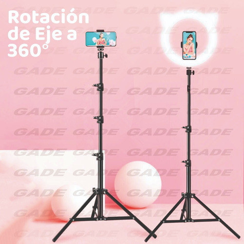 Imagen 3 de 9 de Aro De Luz Led 26cm Selfie Con Tripode 2 Mts + Soporte Cel