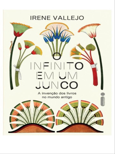 O Infinito Em Um Junco: A Invenção Dos Livros No Mundo Antigo, De Vallejo, Irene. Editora Intrínseca, Capa Mole Em Português