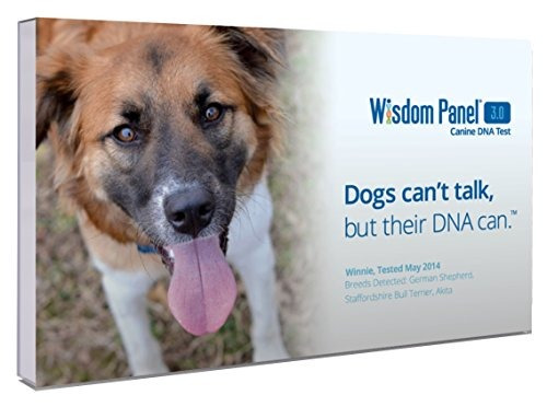 Wisdom Panel 3.0 Breed Identificación Dna Test Kit