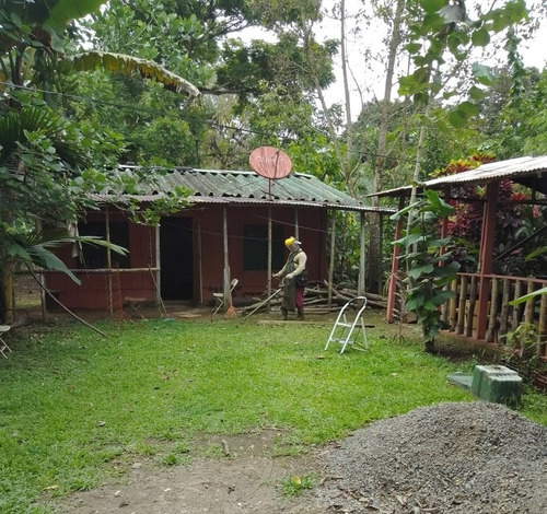 Sarapiqui Horquetas Vendo Propiedad Con Casa