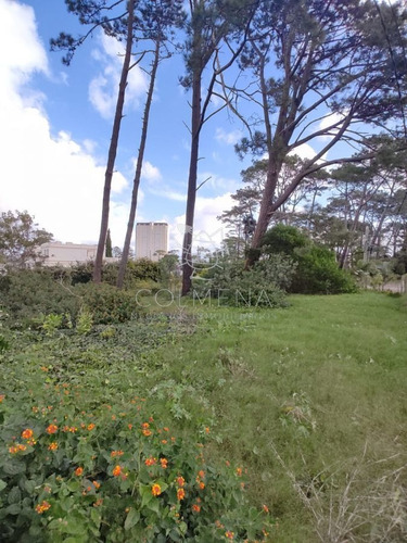 Imagen 7 de 7 de Terreno En Zona Mansa Muy Buen Matraje - Punta Del Este Mansa