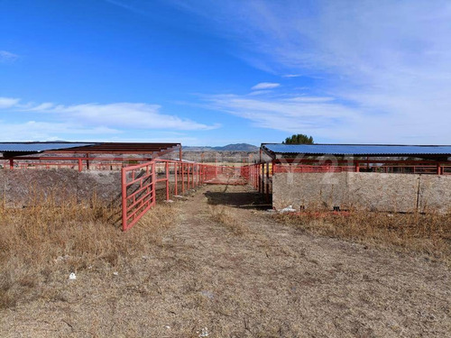 Imagen 20 de 24 de Rancho En Venta Cd. Guerrero, Chihuahua.