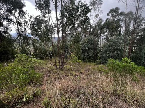 Lote Vereda Gotua- 1073 M2 - Vía Iza