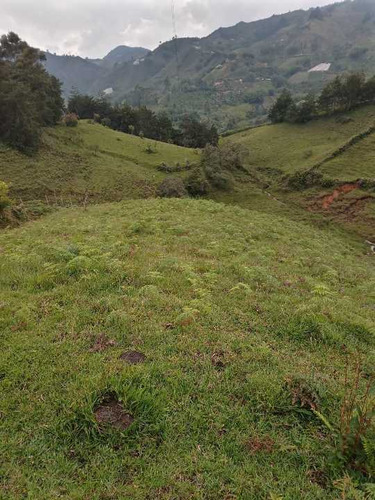 Lindo Lote En Venta En El Peñol Antioquia - Vereda Pozo