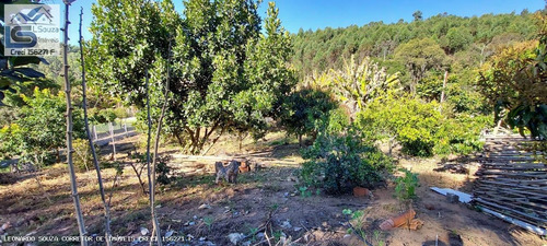Imagem 10 de 15 de Chácara Para Venda Em Pedra Bela, Zona Rural, 2 Dormitórios, 2 Banheiros - 1186_2-1223648