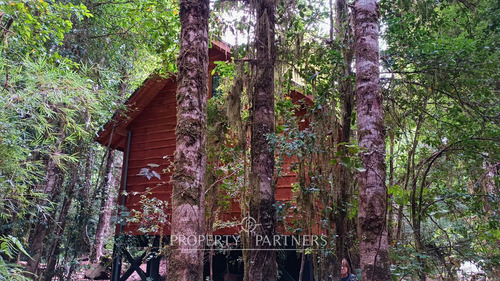 Casa Refugio En Reserva Biológica Huilo Huilo