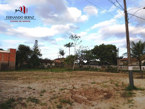 Imagem 7 de 13 de Terreno Comercial - Estaleirinho - Ref: 1882 - L-2392