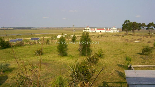 Imagen 4 de 17 de Chacra En Punta Del Este - Zona Jose Ignacio