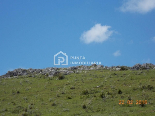 Imagen 2 de 30 de Venta Chacra 96has En Minas, Lavalleja