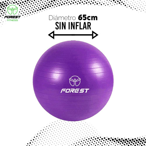 Imagen 2 de 7 de Pelota Yoga Esferodinamia Suiza 65 Cm Gym Pilates Ball