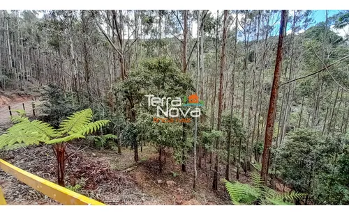 Lote Apto Para Desarrollo Turístico En Venta Guatapé