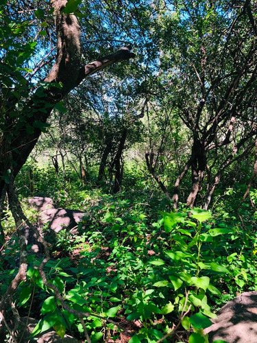 Imagen 9 de 14 de Lote De 2028 M2 Ubicado En Las Chacras - Villa De Las Rosas