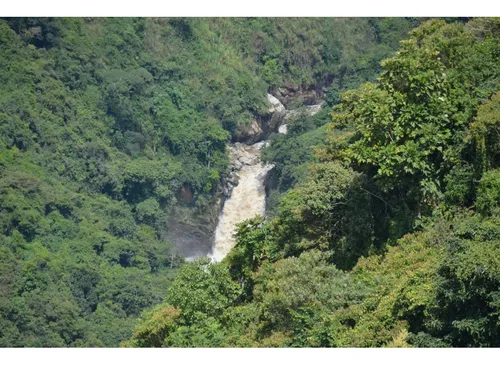 Venta Finca 77000 Mts2 Abejorral Vereda El Guaico