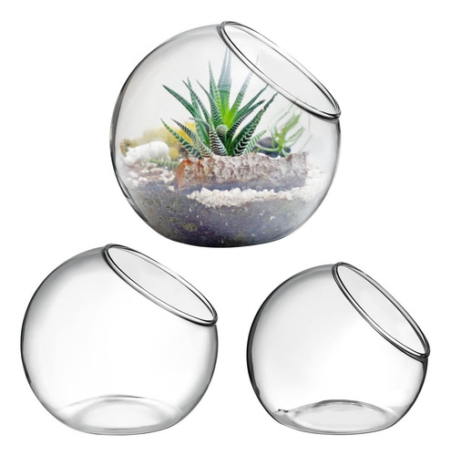 3 Piezas Contenedores De Terrario De Vidrio Orbe Macetero De