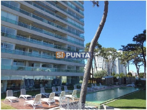 Imagen 2 de 3 de A Pasos De Punta Shopping