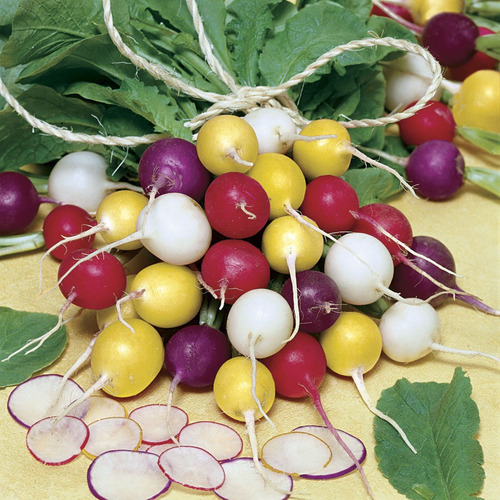30 Sementes Rabanete Arco Iris Para Cultivo Raros Deliciosos