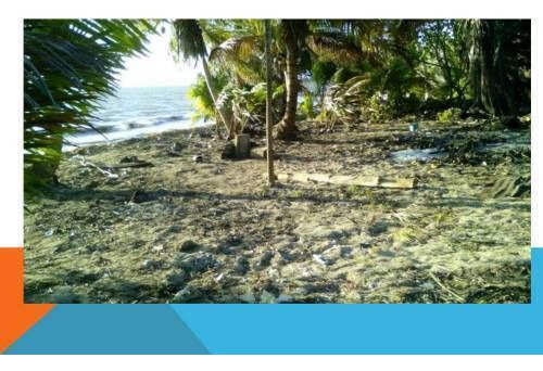 Terreno En Venta En Riviera Maya Folio 2821 En Punta Allen 24,700 A $800 M.n. M2