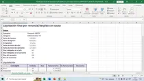 Comprar Planilla Para Calculo De Liquidacion Final Despido 