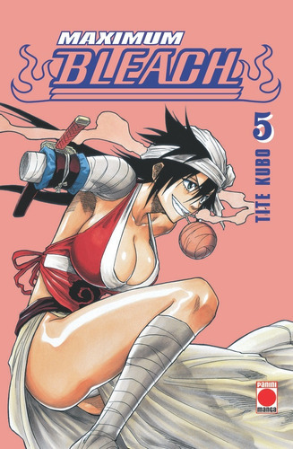 Maximum Bleach 05, De Aa.vv.. Editorial Panini, Tapa Blanda En Español